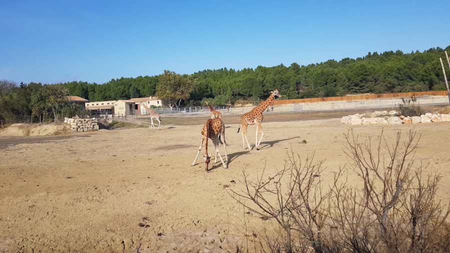 Domaine de puychene parc animalier sigean