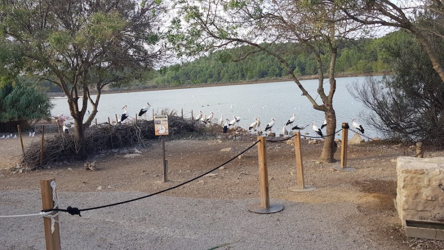 Domaine de puychene parc animalier sigean